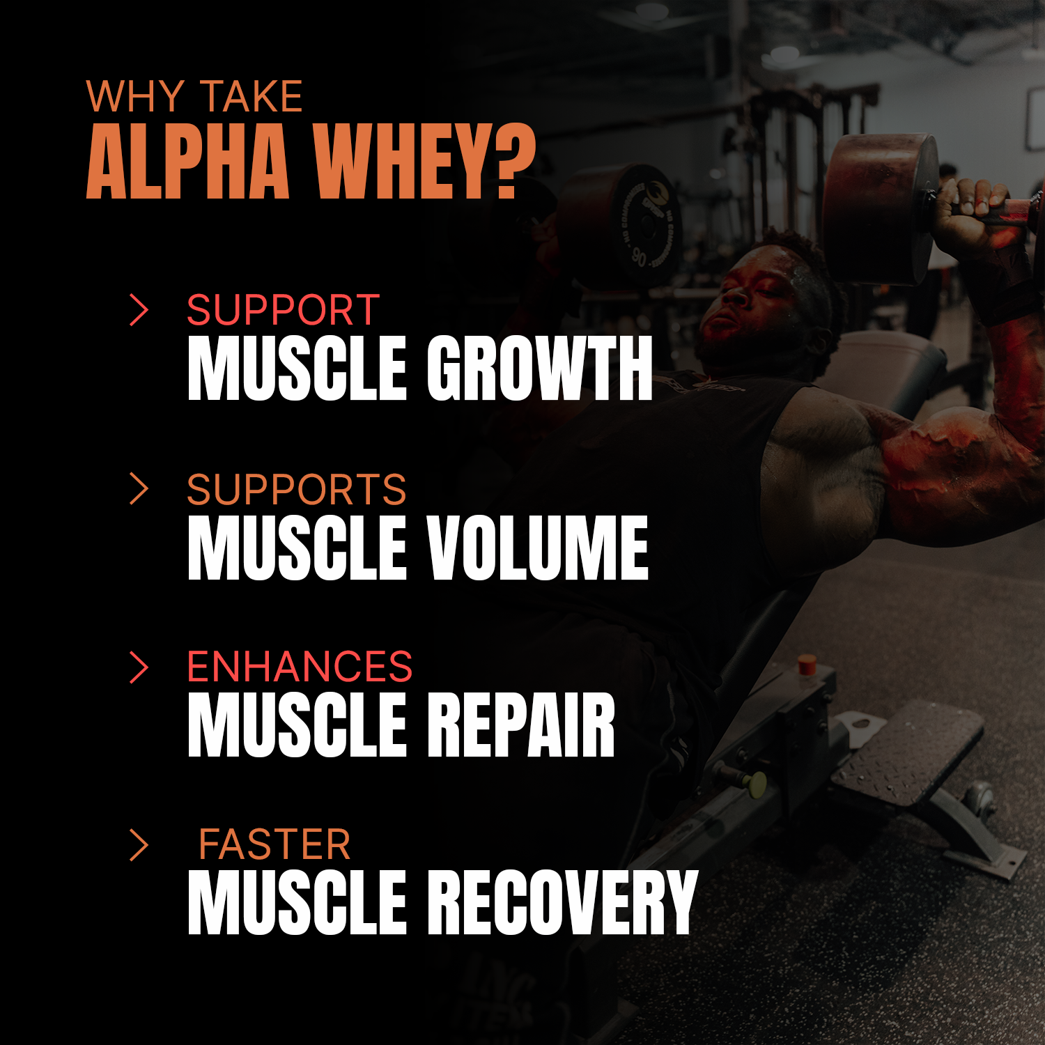 PS Alpha Whey 2 kg